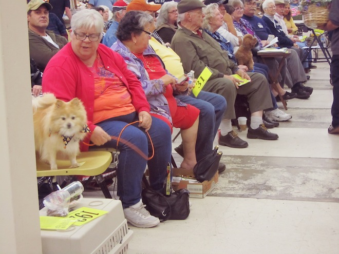 Friday Night Auction