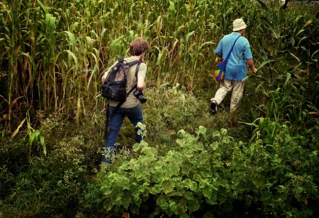 king ahmed tomb india1