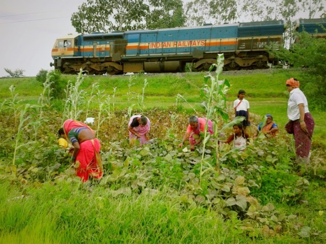field farmers train
