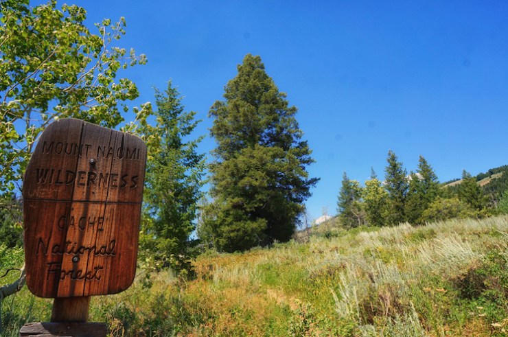 Jardine Juniper Trail in Logan Canyon, Utah
