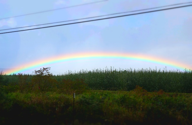 rainbow oregon
