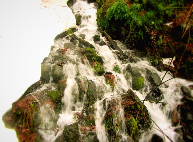 multnomah falls oregon9