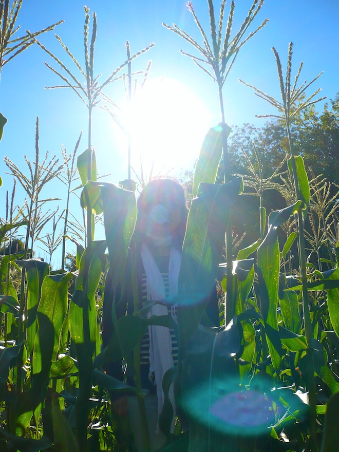 laconia new hampshire5