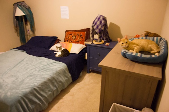 durham house room bed