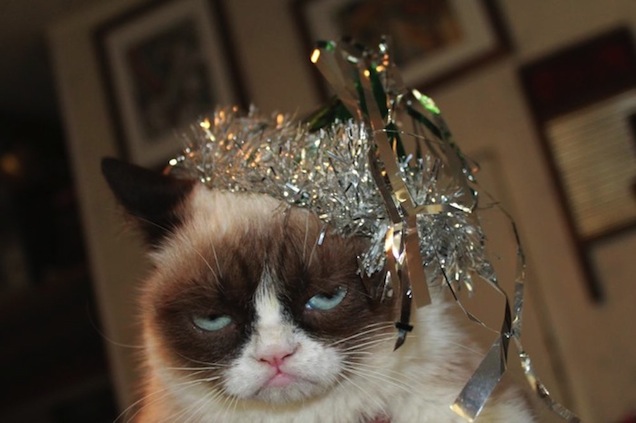 grumpy cat new year