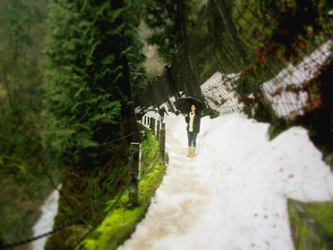 multnomah falls oregon13