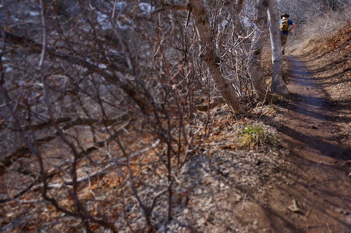 wind cave trail utah18