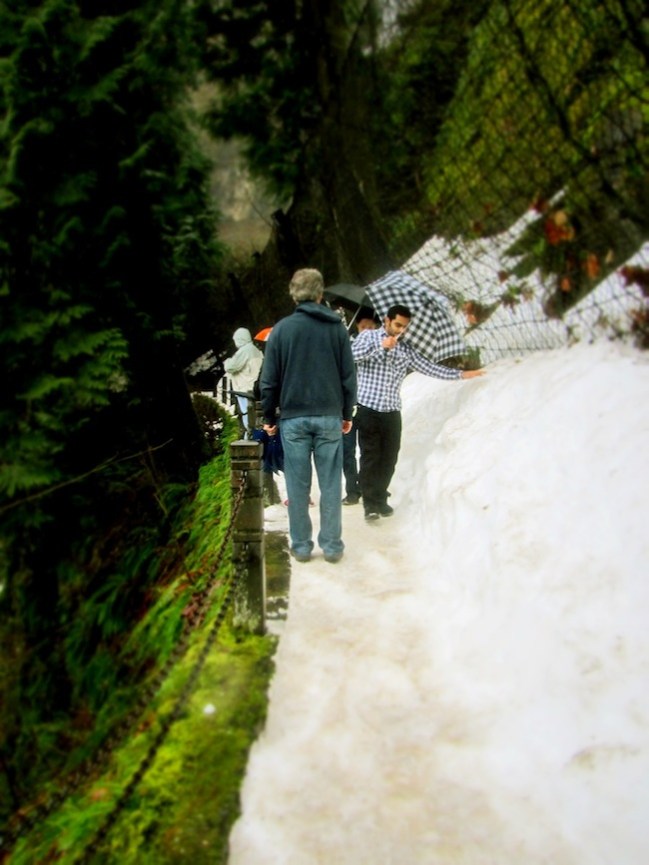 multnomah falls oregon10