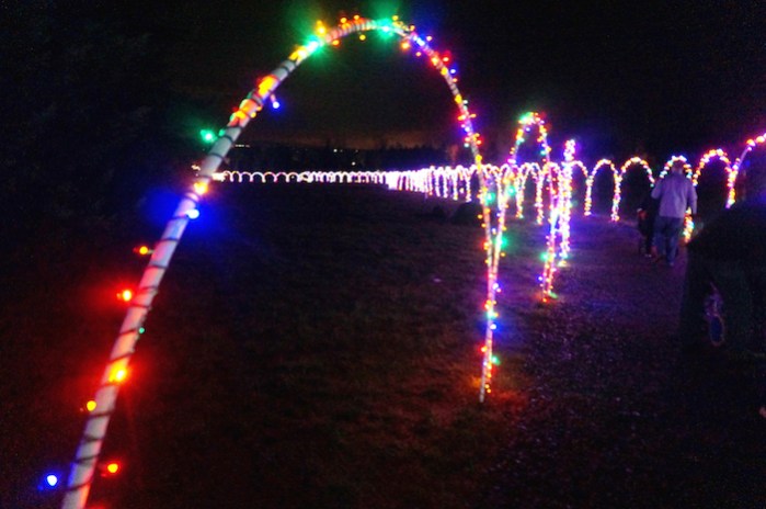 Christmas in the Garden