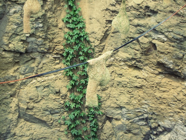 open well pendant nest