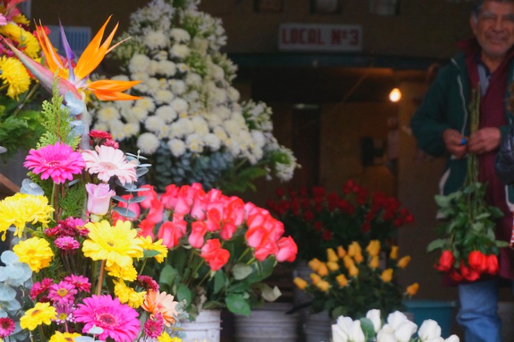 mexico city flowers1