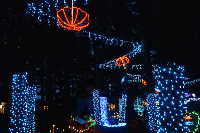 oregon garden christmas2