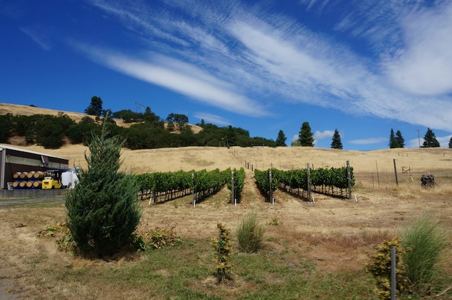 COR Cellars in Lyle, Washington