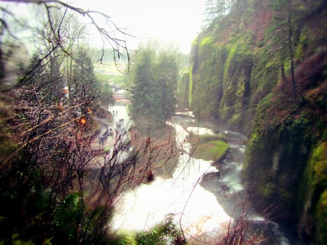 multnomah falls oregon12