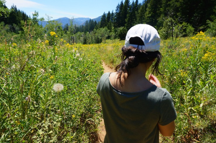 Jardine Juniper Trail in Logan Canyon, Utah