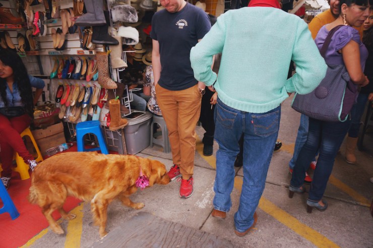 mexico city roma mercado