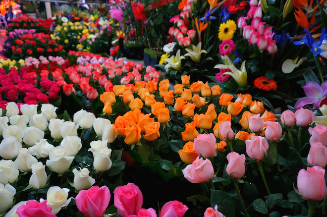 mercado de jamaica mexico21