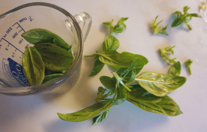 fresh basil for kale pesto
