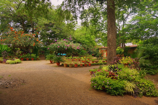 india2015 meherazad7