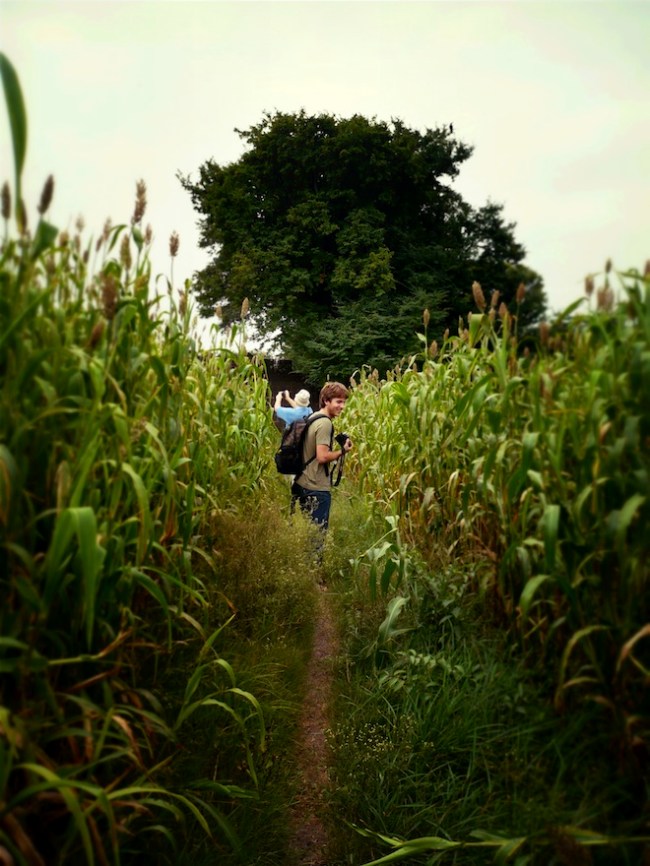 king ahmed tomb india2