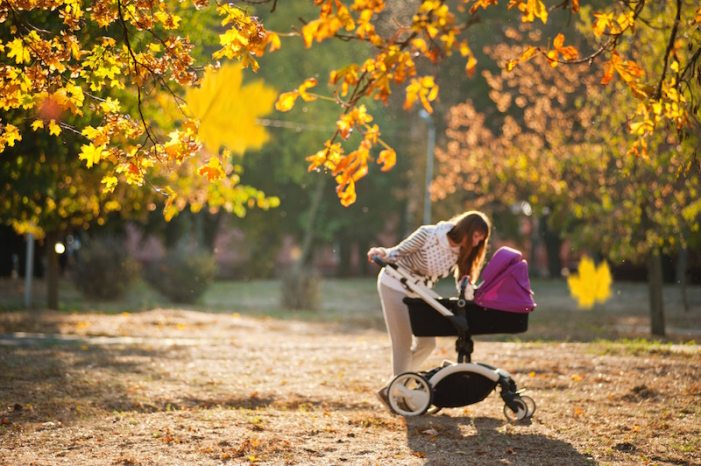 autumn-fall-stroller
