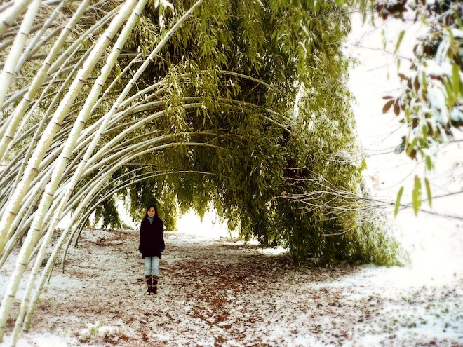 duke gardens durham snow5