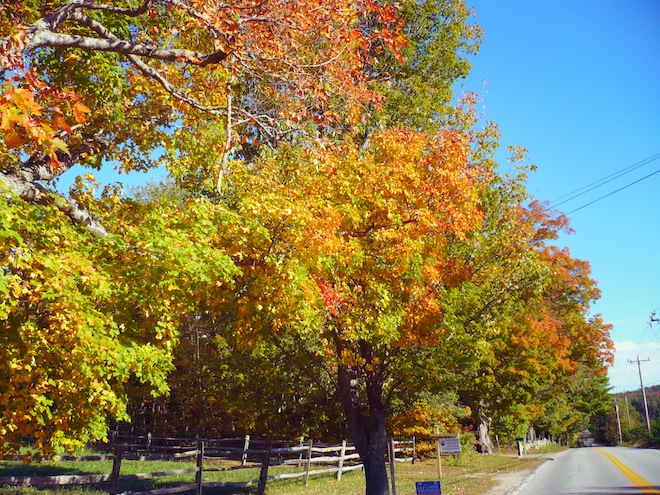 laconia new hampshire3