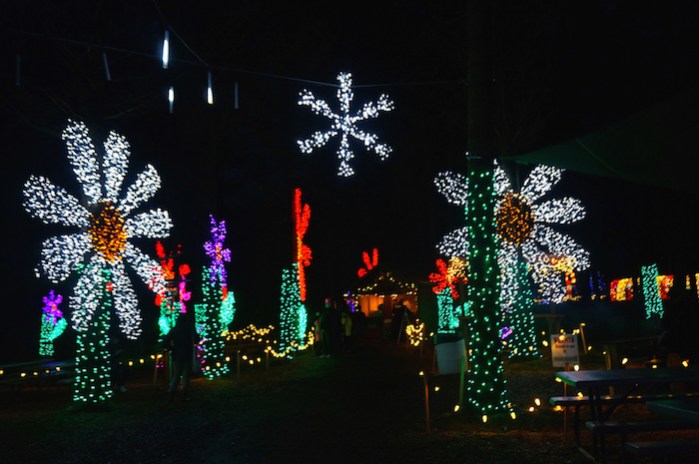 oregon garden christmas13