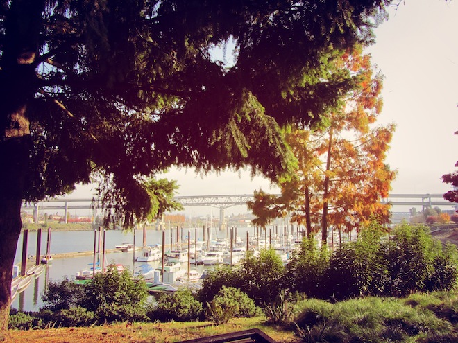 portland waterfront9