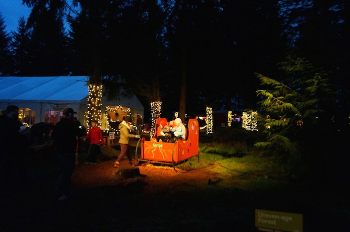 oregon garden christmas3