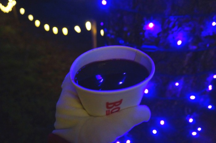 oregon garden christmas10