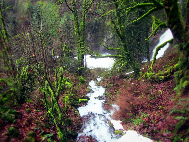 multnomah falls oregon7