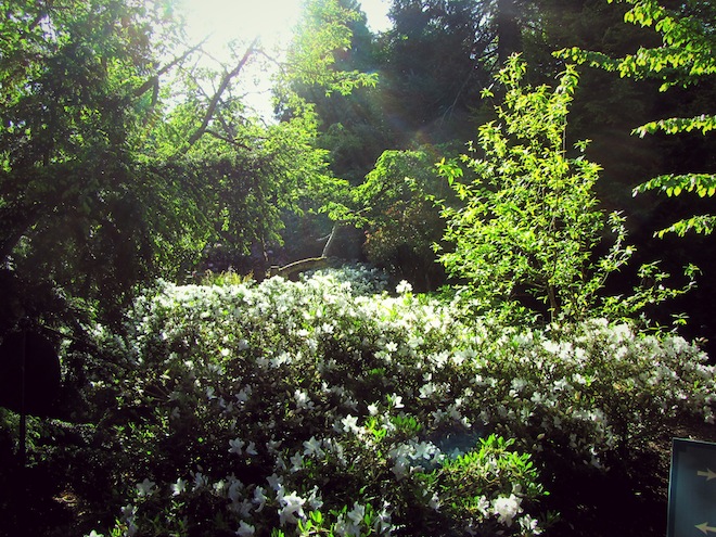 pittock mansion portland9