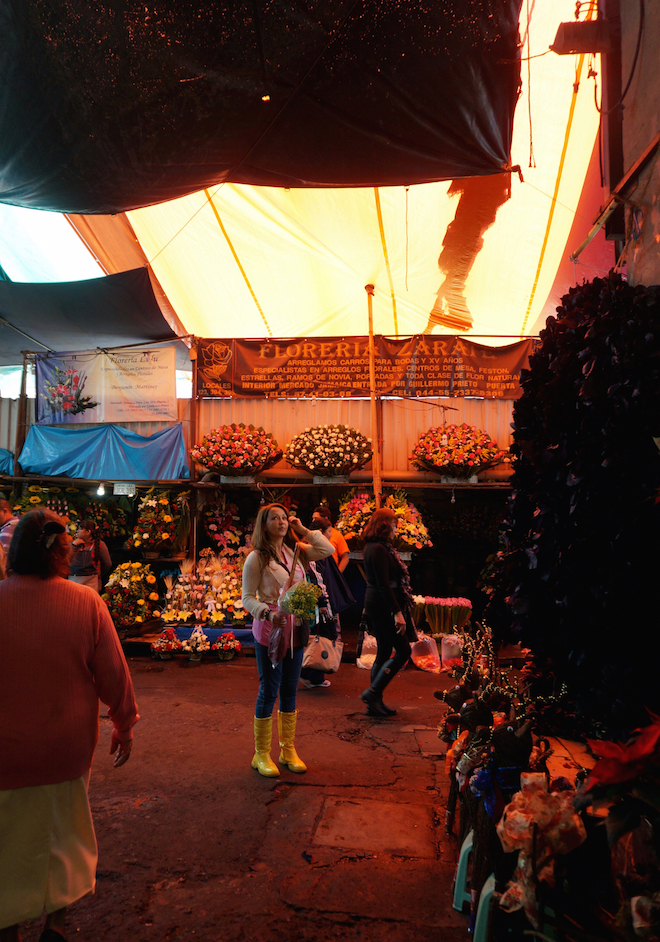 mercado de jamaica mexico23