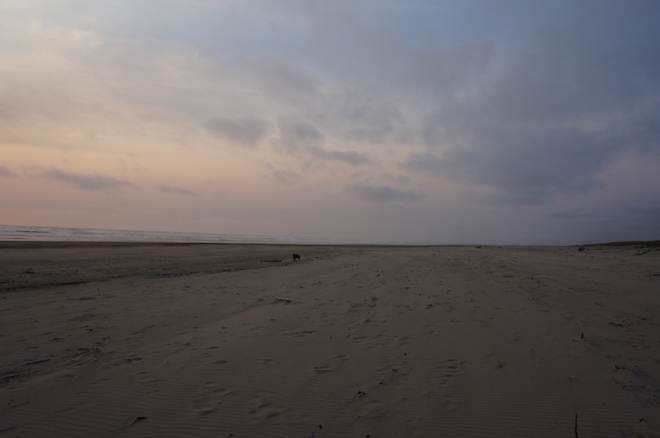 Klipsan Beach, Washington