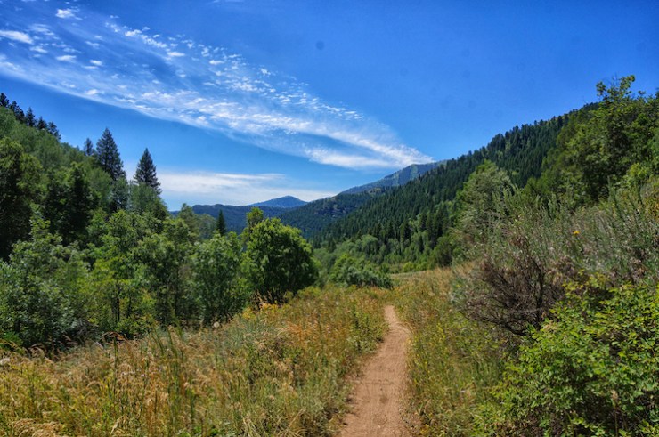 Jardine Juniper Trail in Logan Canyon, Utah