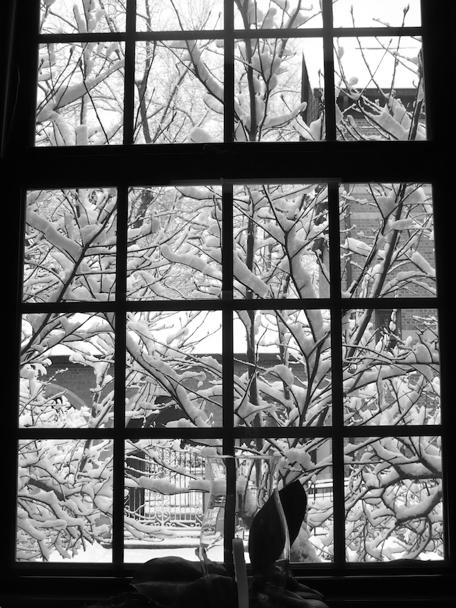 The silhouette of a window on a snowy day in Durham, NC.