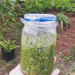 kale pesto