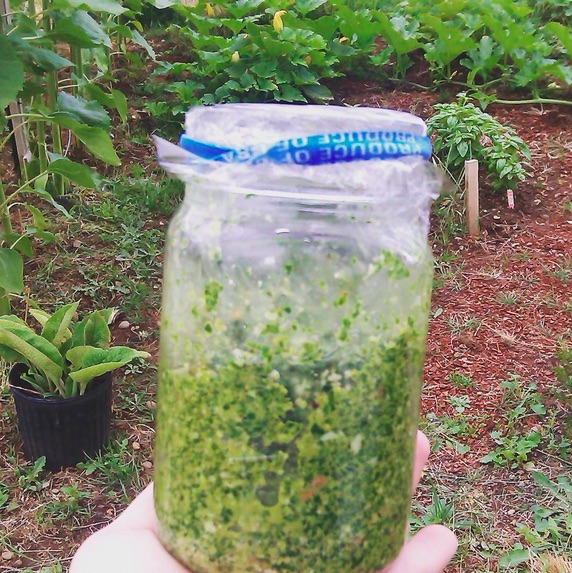kale pesto
