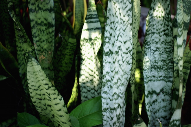 india2015 meherazad2