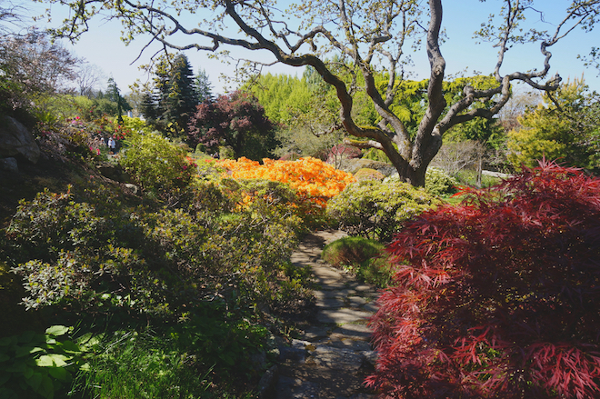 abkhazi garden victoria bc17