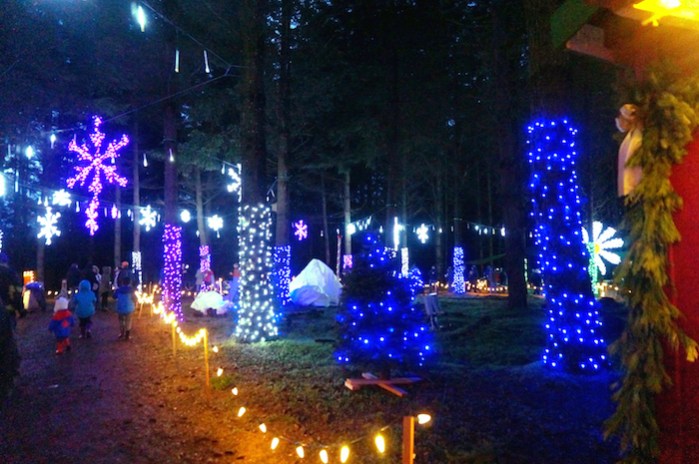 oregon garden christmas8