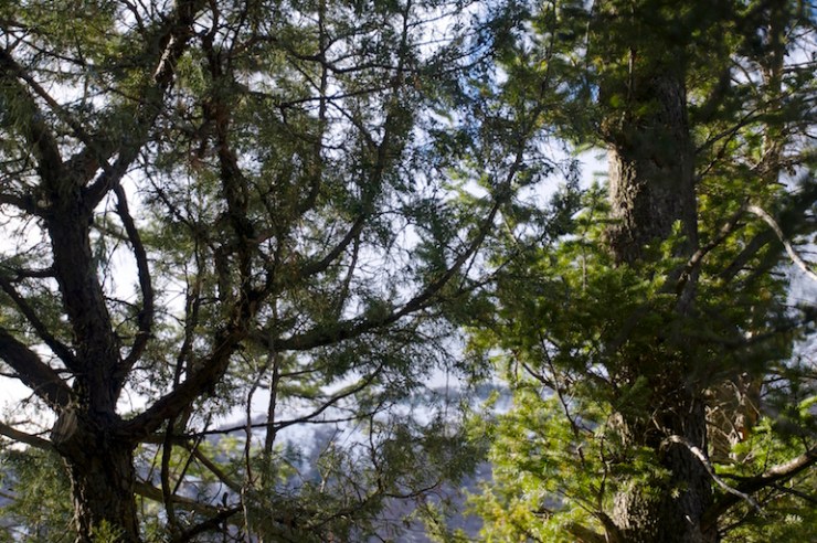 crimson-trail-logancanyon-utah55