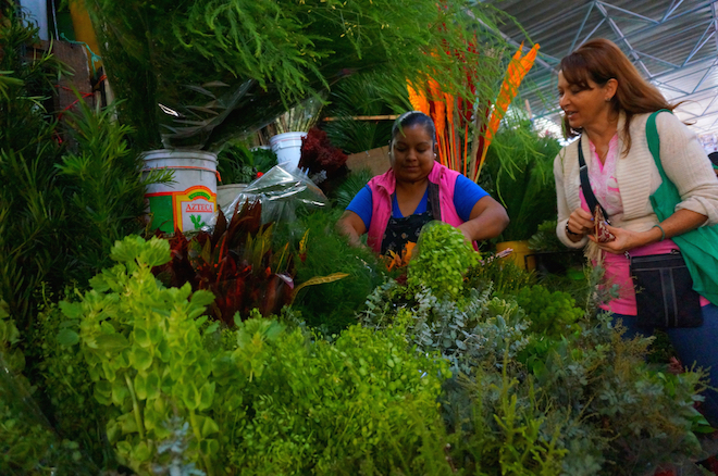 mercado de jamaica mexico10