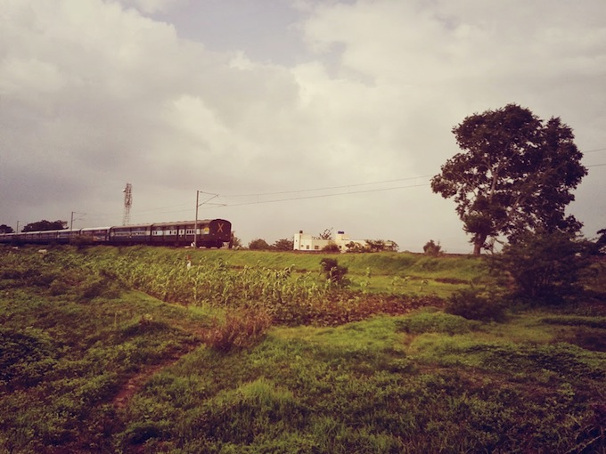 train india field