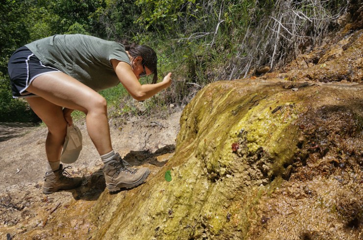 Jardine Juniper Trail in Logan Canyon, Utah