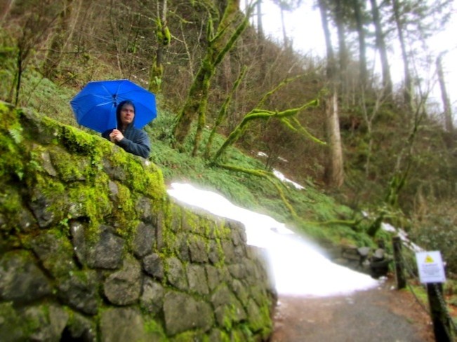 multnomah falls oregon5