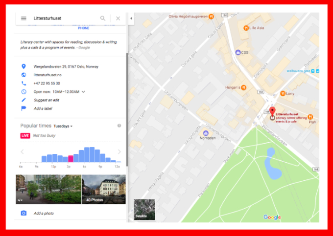 popular times google maps tips