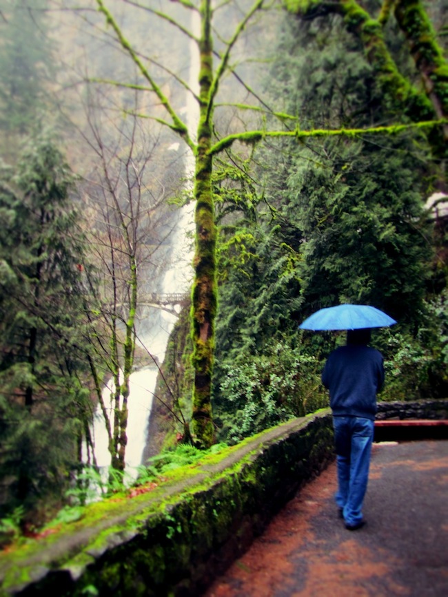 multnomah falls oregon2