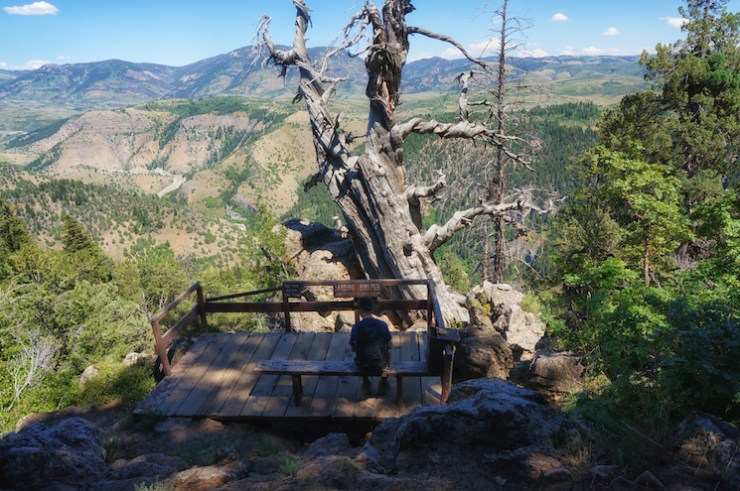 Jardine Juniper Trail in Logan Canyon, Utah